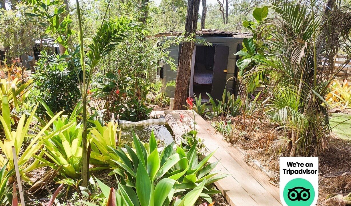 Photo of Outdoor in Apple Tree Creek