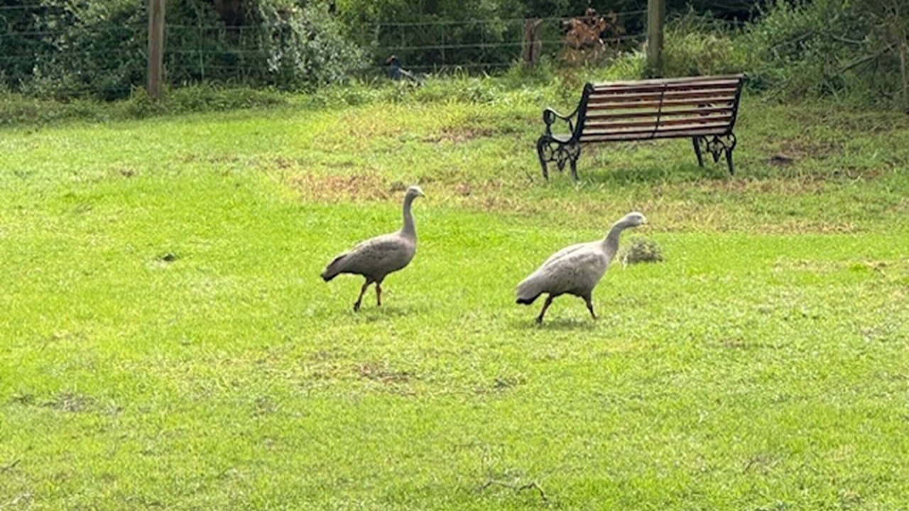 Photo of Others in Newhaven