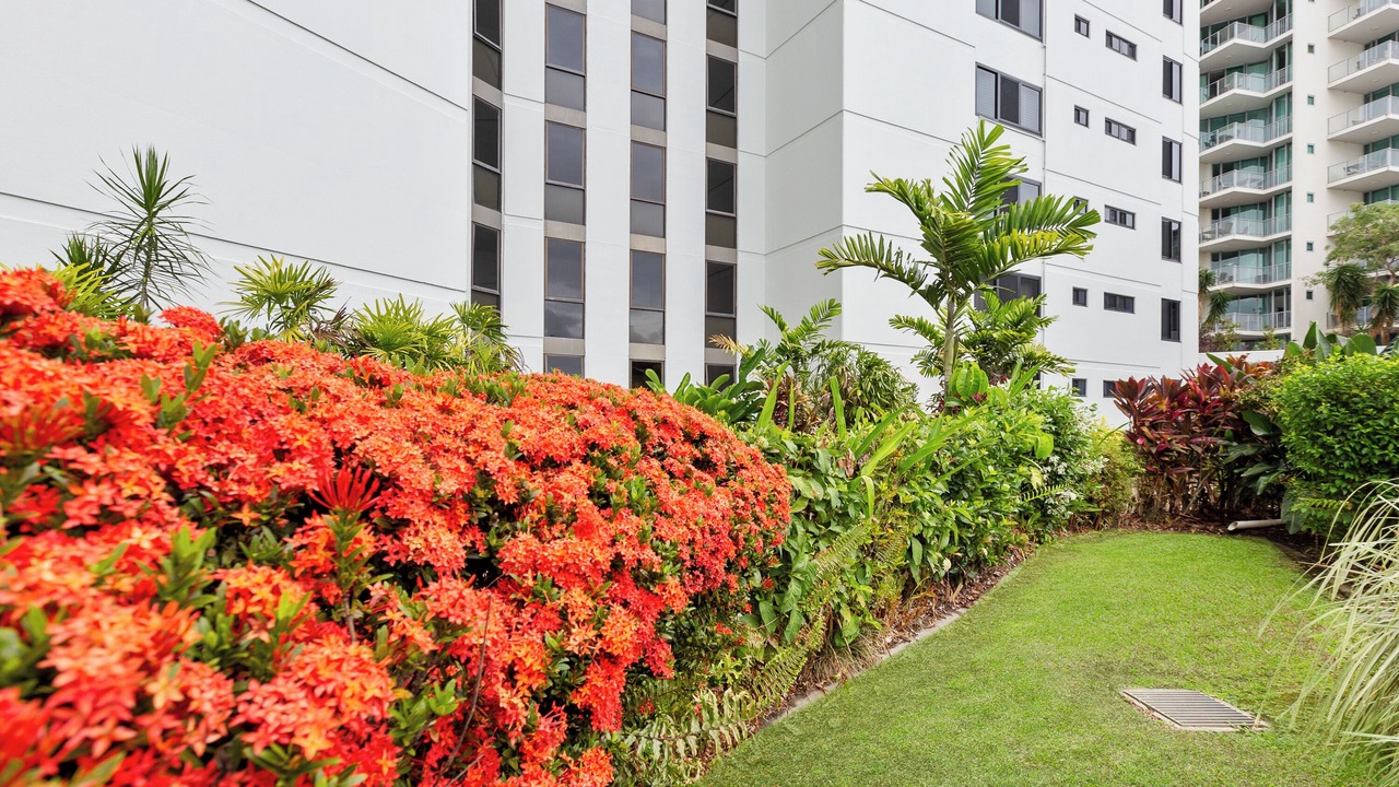 Photo of Outdoor in Cairns Central Business District