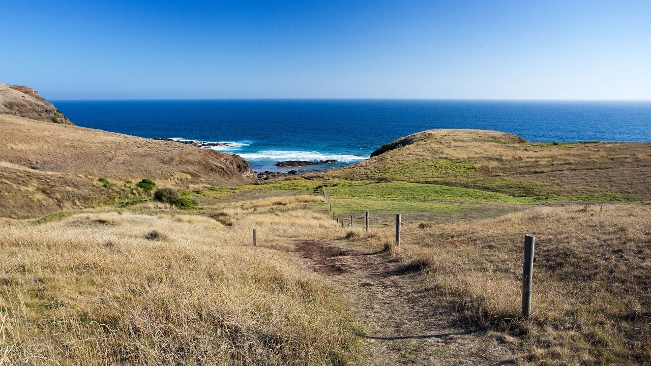 Photo of Outdoor in Flinders
