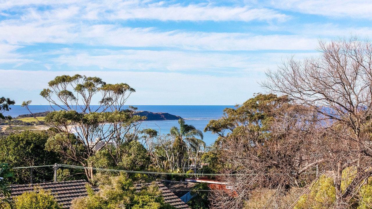 Photo of Others in Dee Why