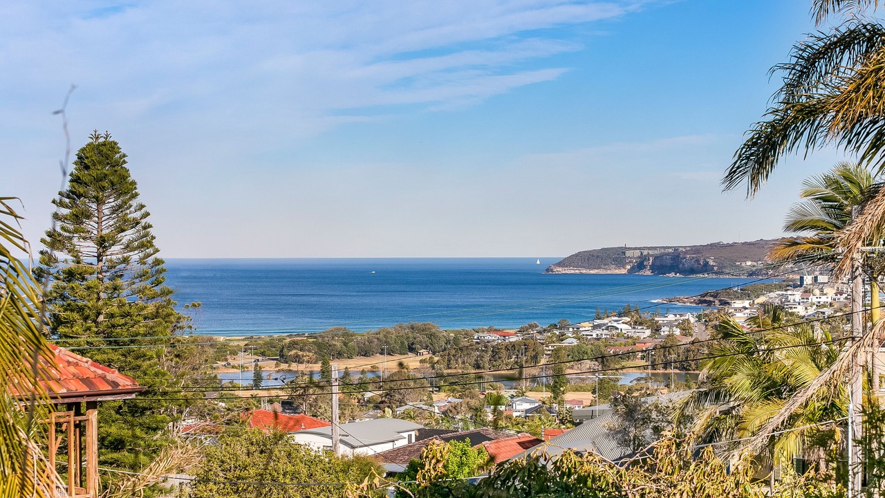 Photo of Others in Dee Why