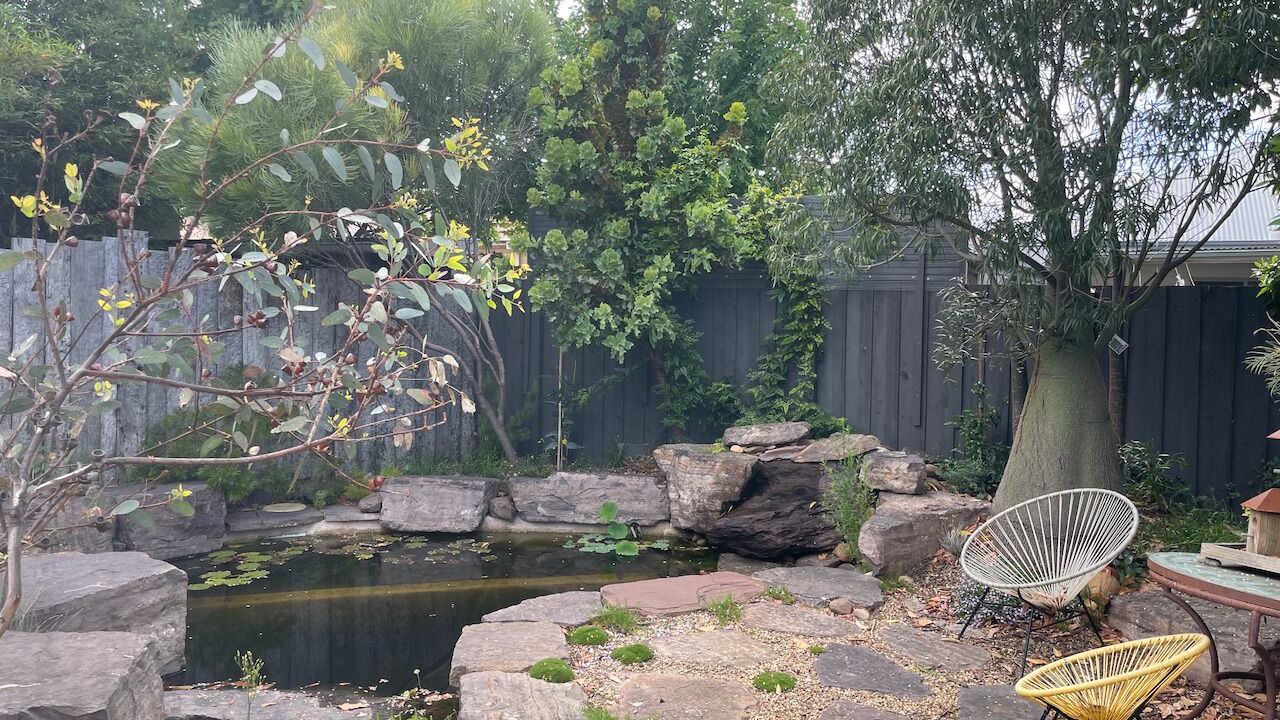 Photo of Outdoor in Williamstown