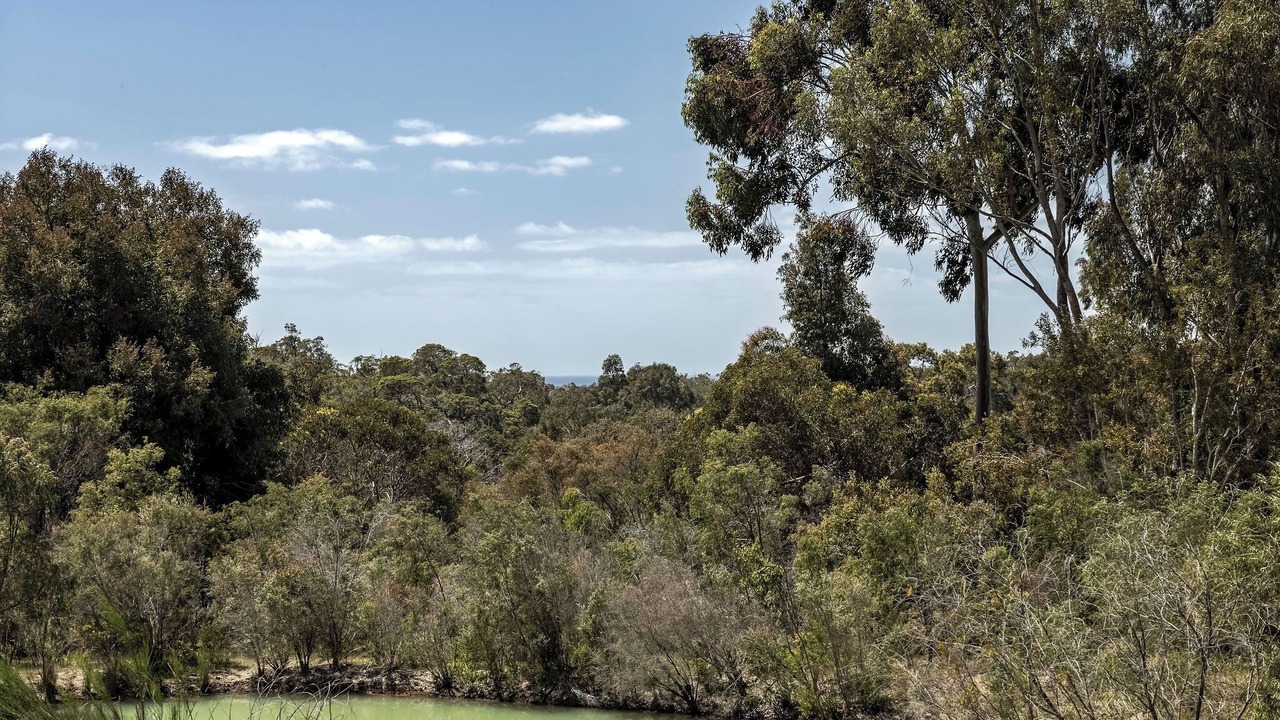 Photo of Others in Yallingup Siding