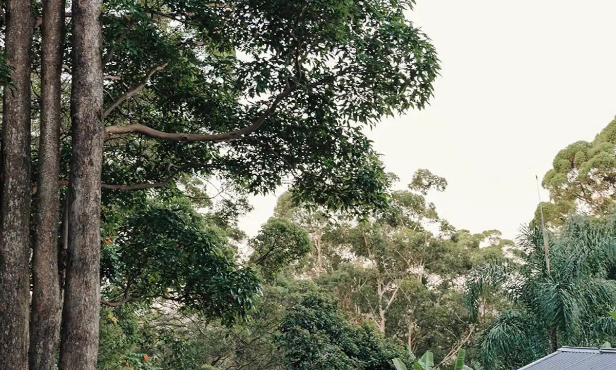 Photo of Others in Nambour
