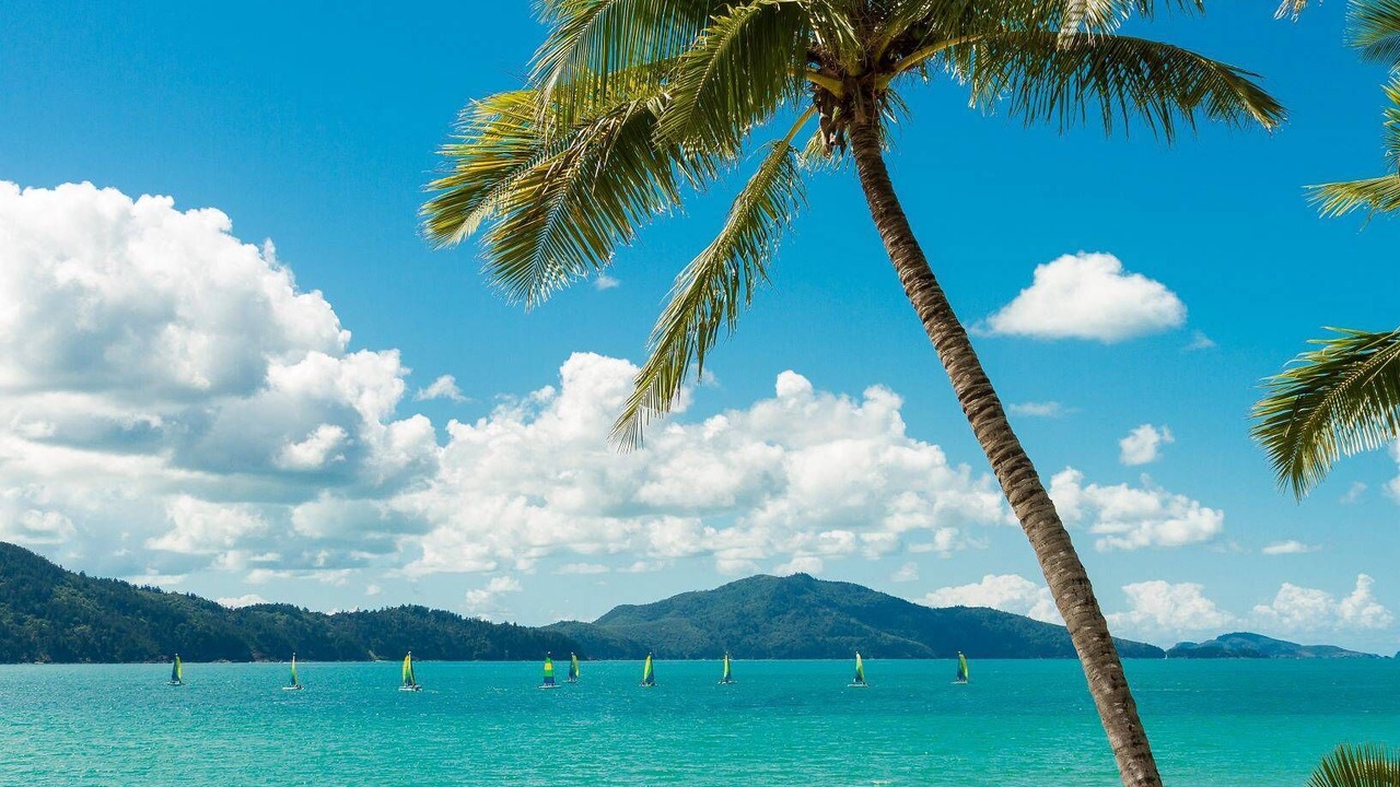 Photo of Others in Hamilton Island