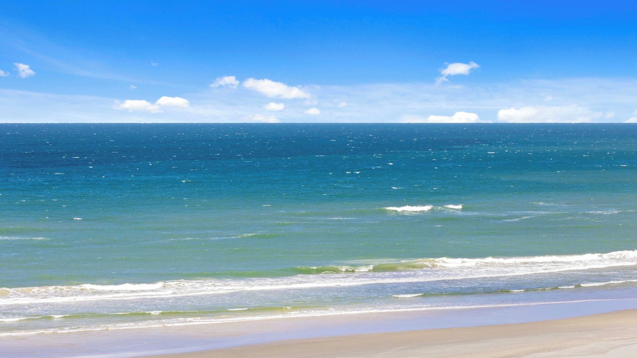 Photo of Others in Palm Beach