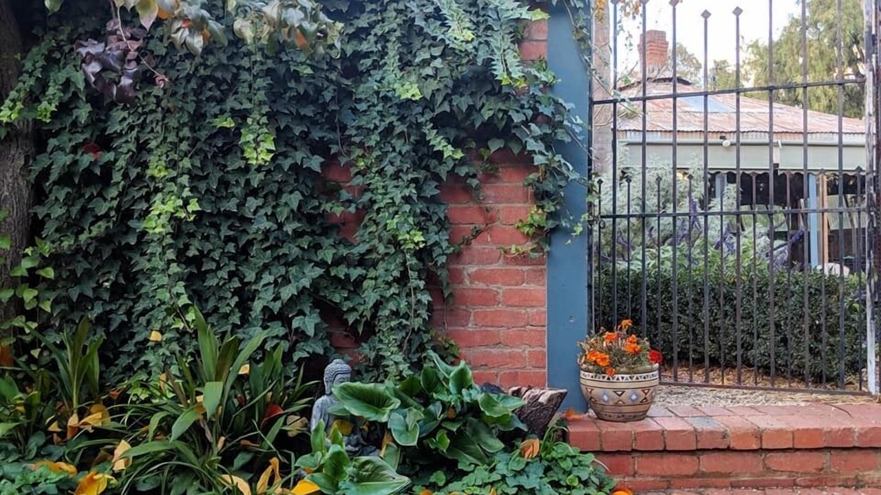 Photo of Outdoor in Avenel