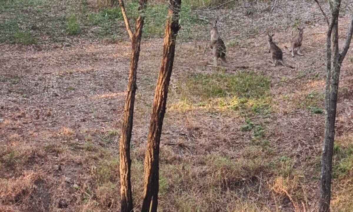 Photo of Others in Maudsland