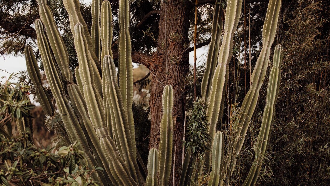 Photo of Outdoor in Boyup Brook