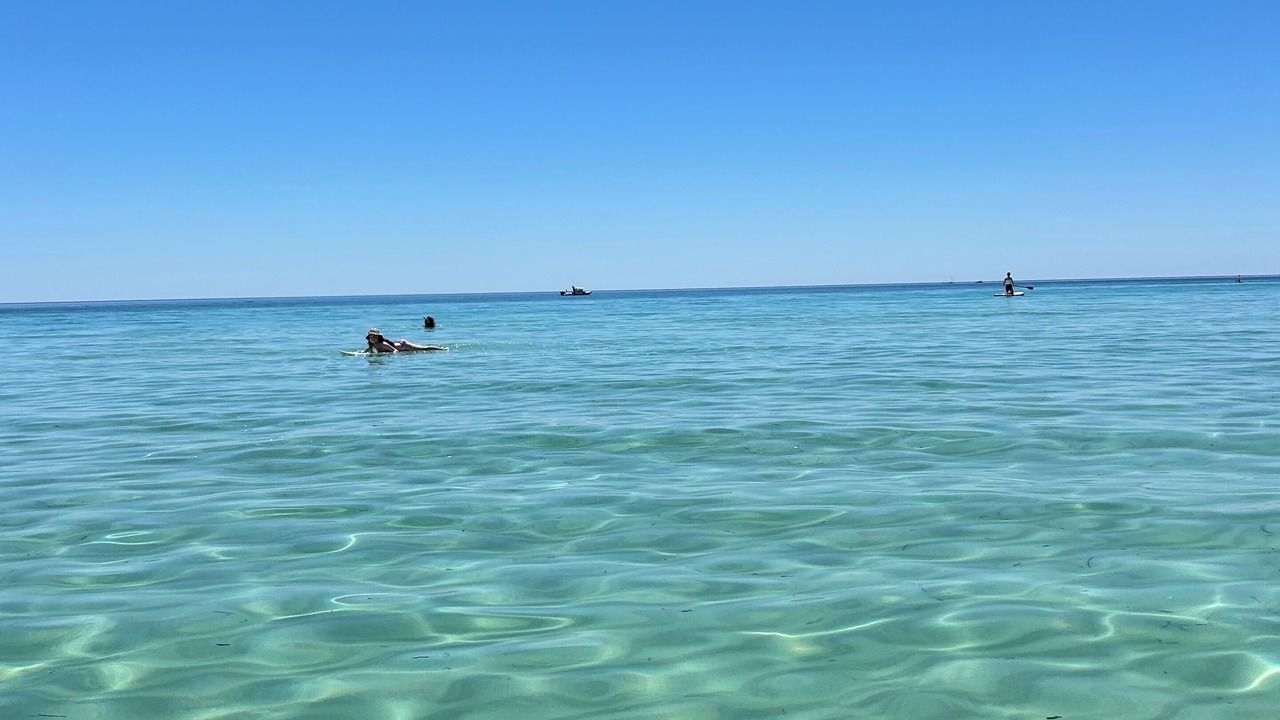 Photo of Others in Dunsborough