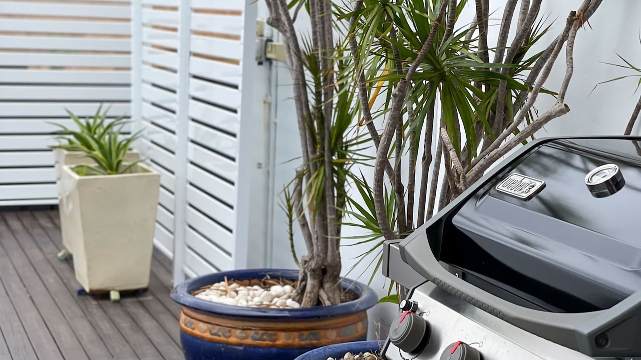 Photo of Outdoor in East Corrimal