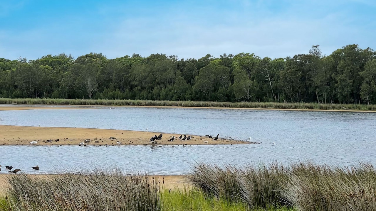 Photo of Outdoor in East Corrimal