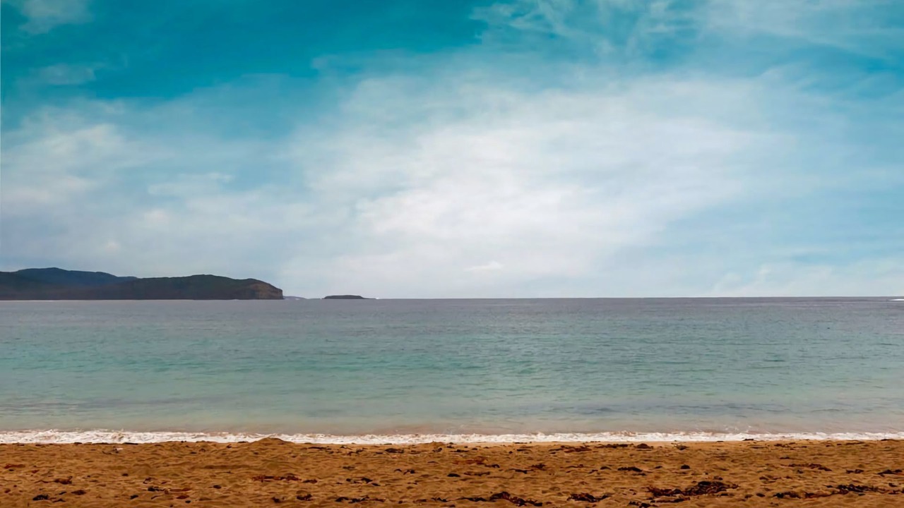 Photo of Others in South Durras
