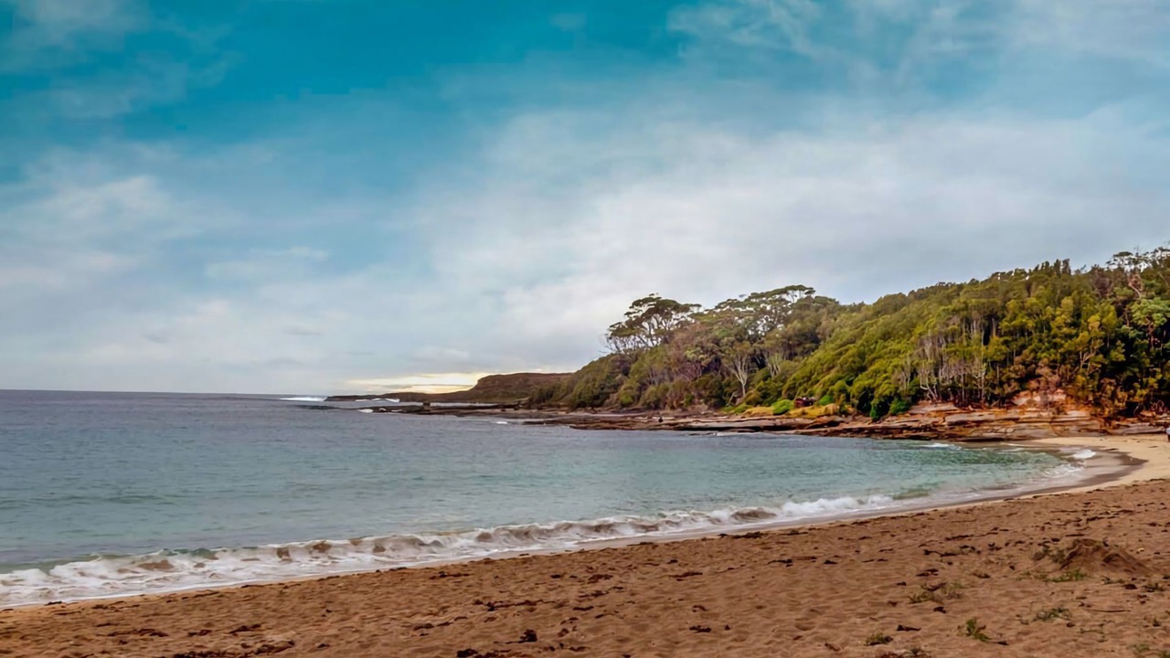 Photo of Others in South Durras