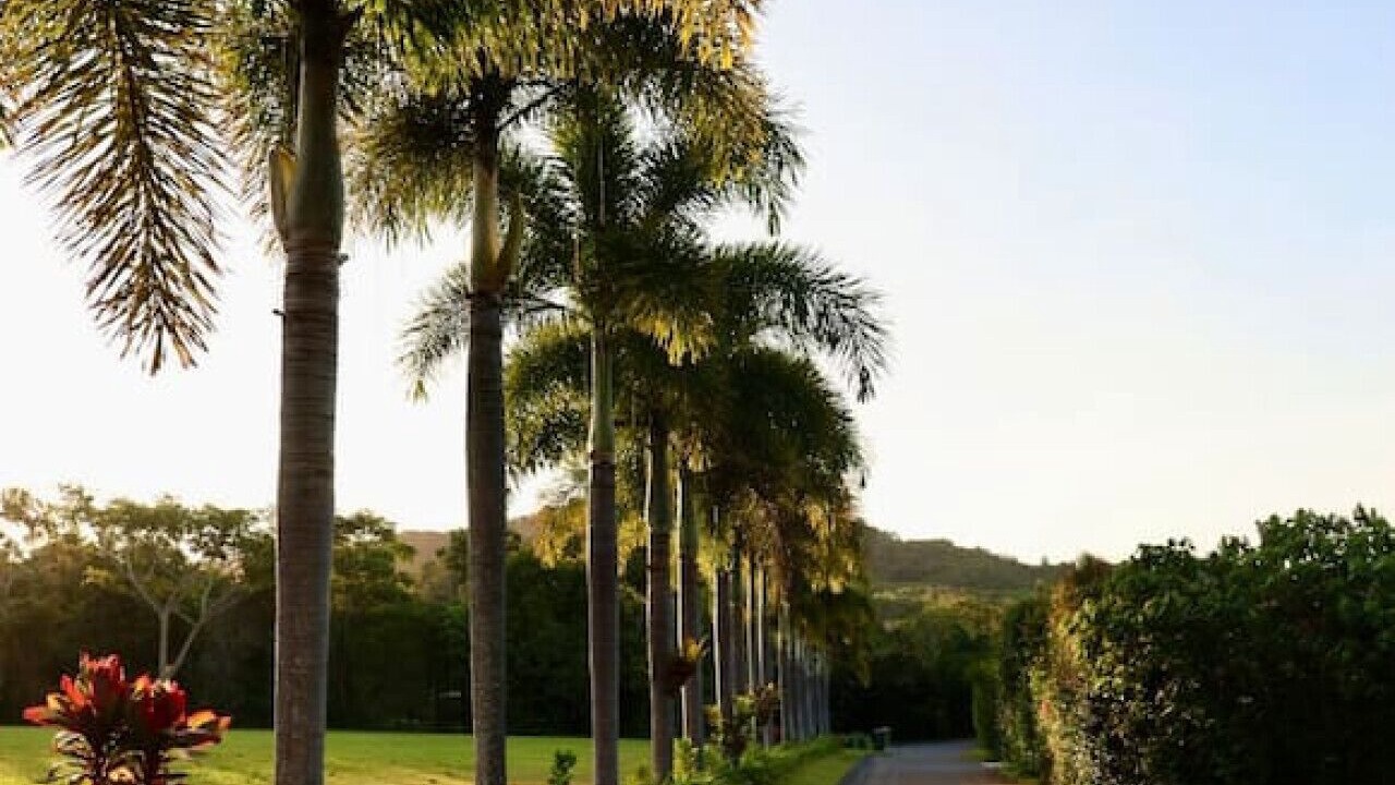 Photo of Outdoor in Kuranda