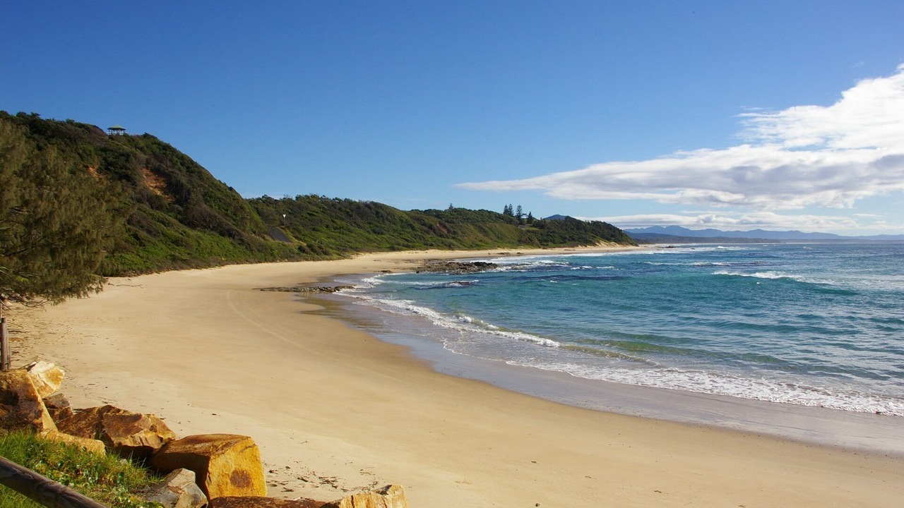 Photo of Others in Nambucca Heads