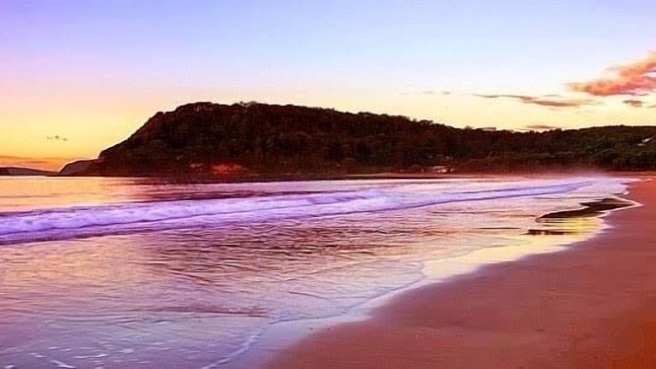 Photo of Others in Umina Beach
