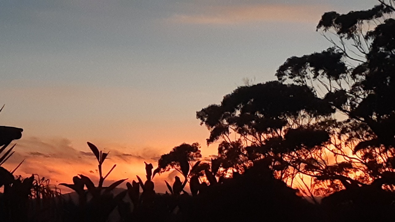 Photo of Outdoor in Mapleton