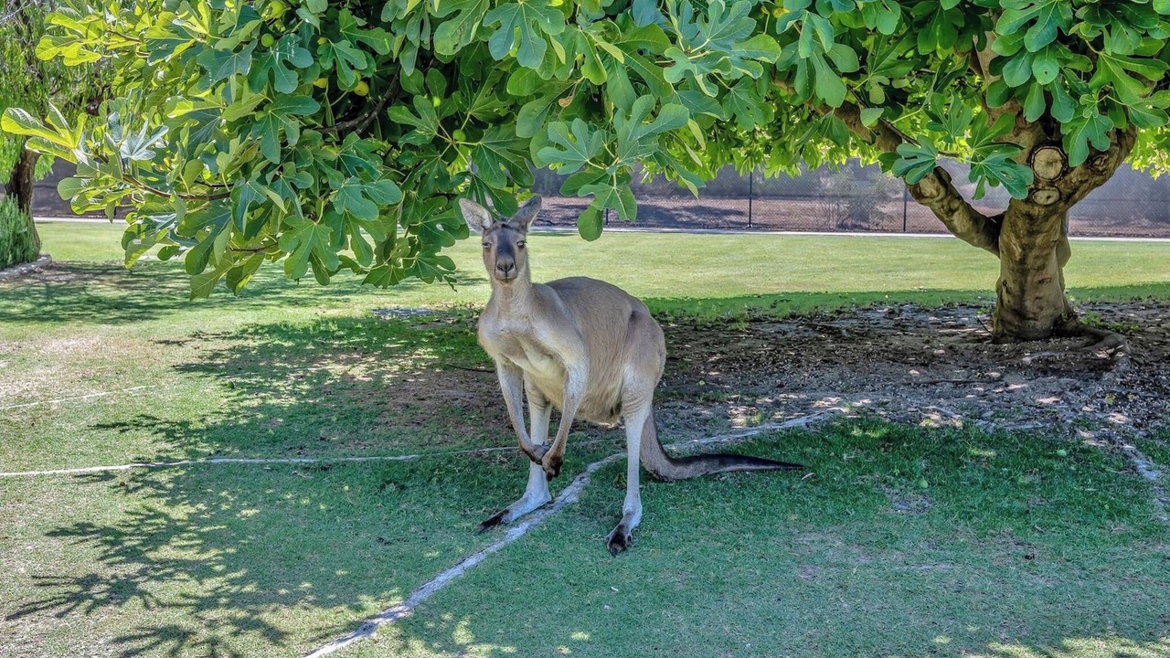 Photo of Outdoor in Preston Beach
