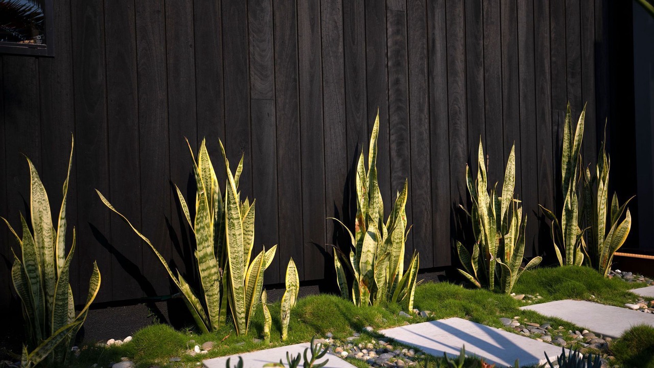 Photo of Outdoor in Warana