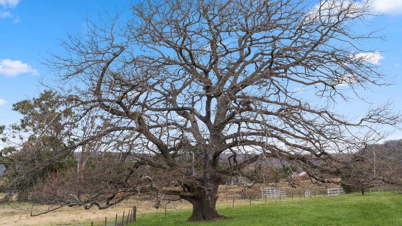 Photo of Outdoor in Little Hartley