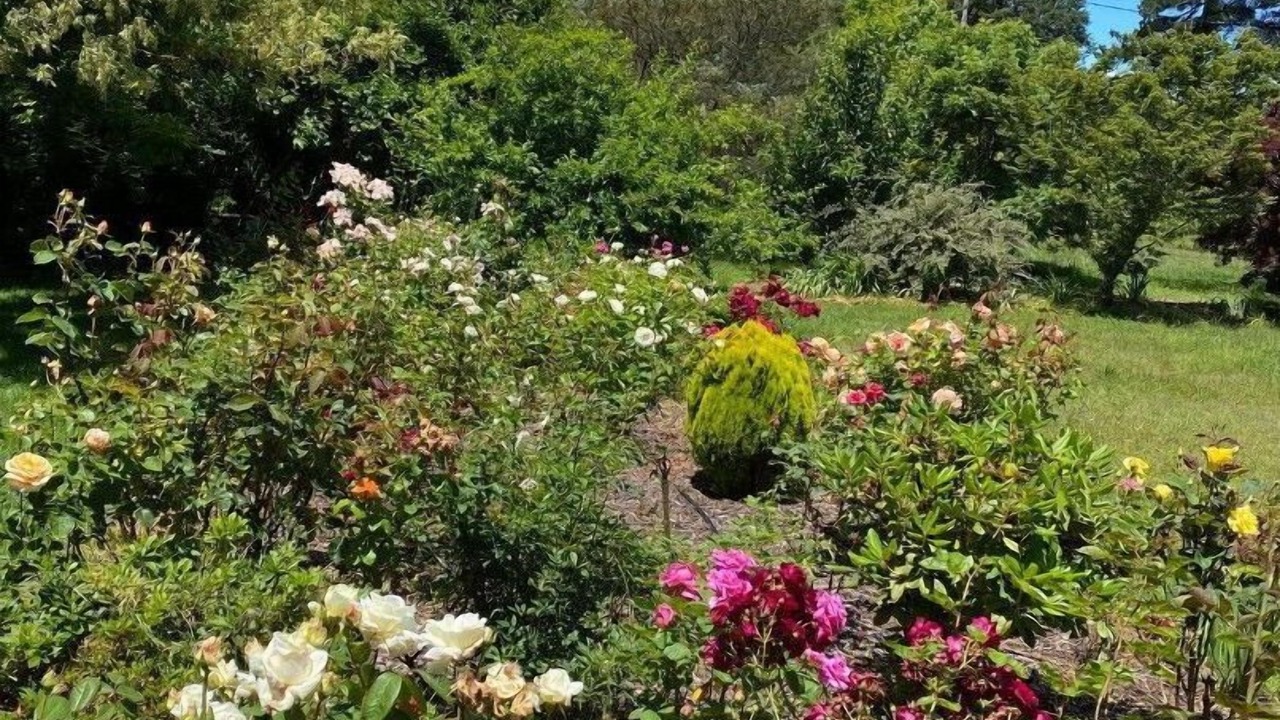 Photo of Outdoor in Little Hartley