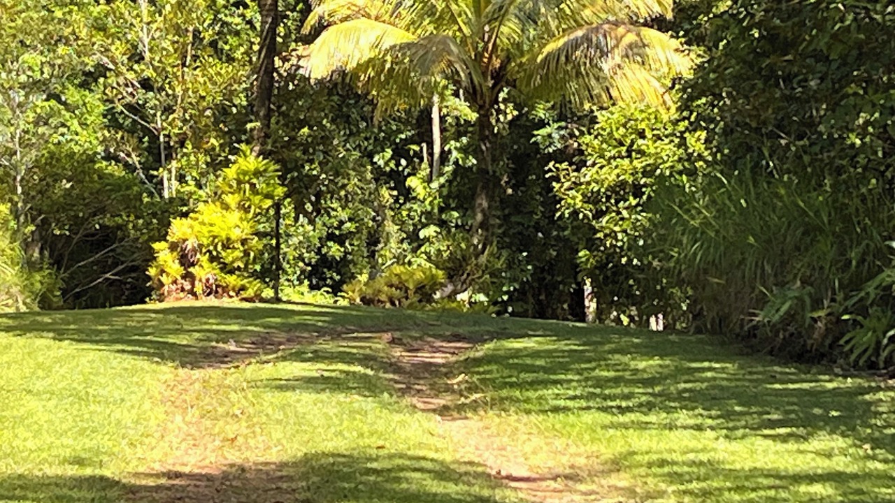 Photo of Outdoor in Bramston Beach