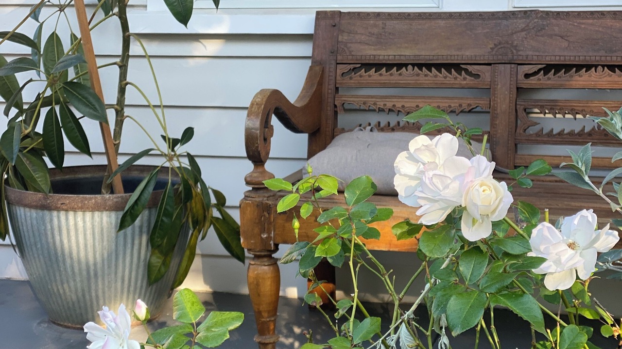 Photo of Outdoor in Newington