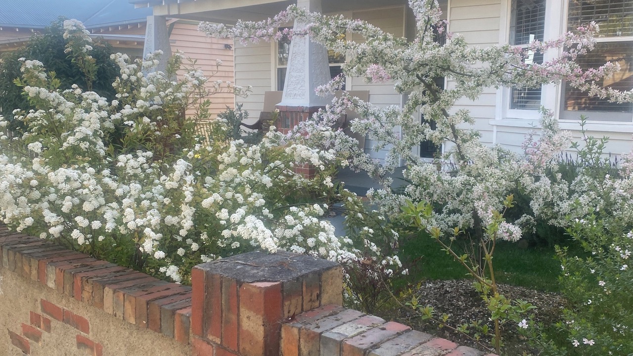 Photo of Outdoor in Newington