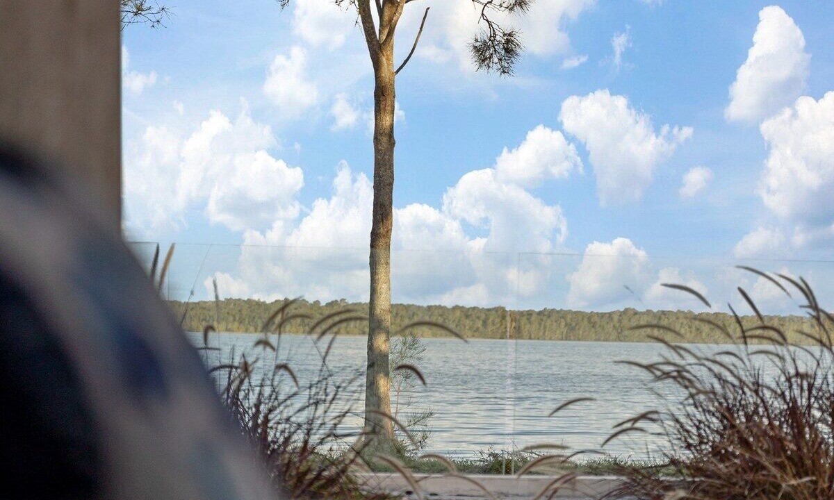 Photo of Outdoor in Central Coast