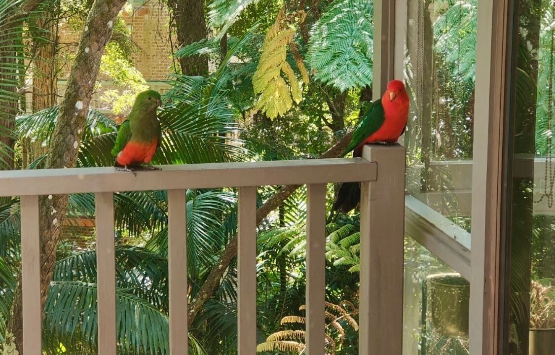 Photo of Others in Killara