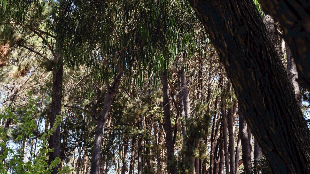 Photo of Others in Rosa Brook