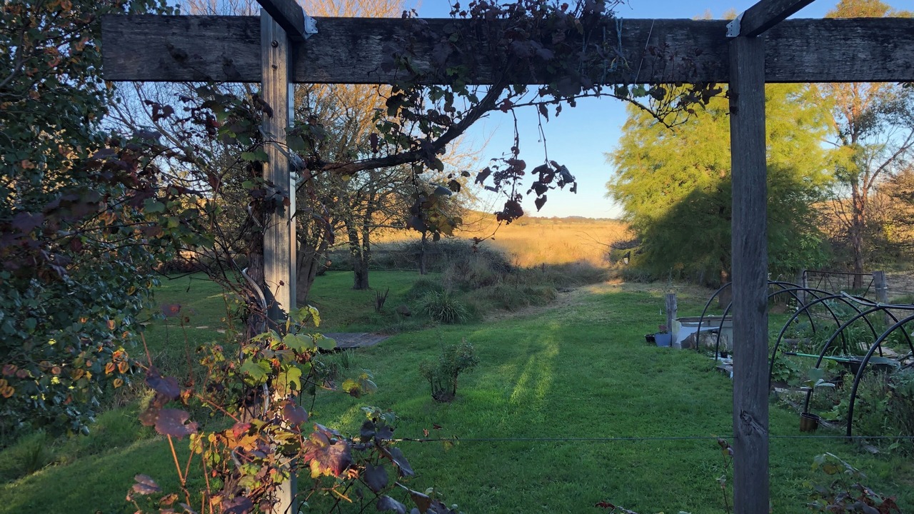 Photo of Outdoor in Braidwood