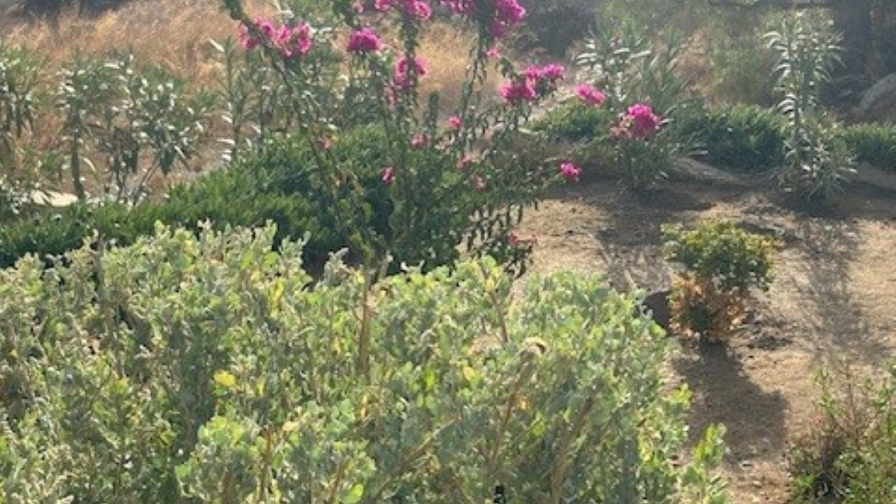 Photo of Outdoor in Gourna