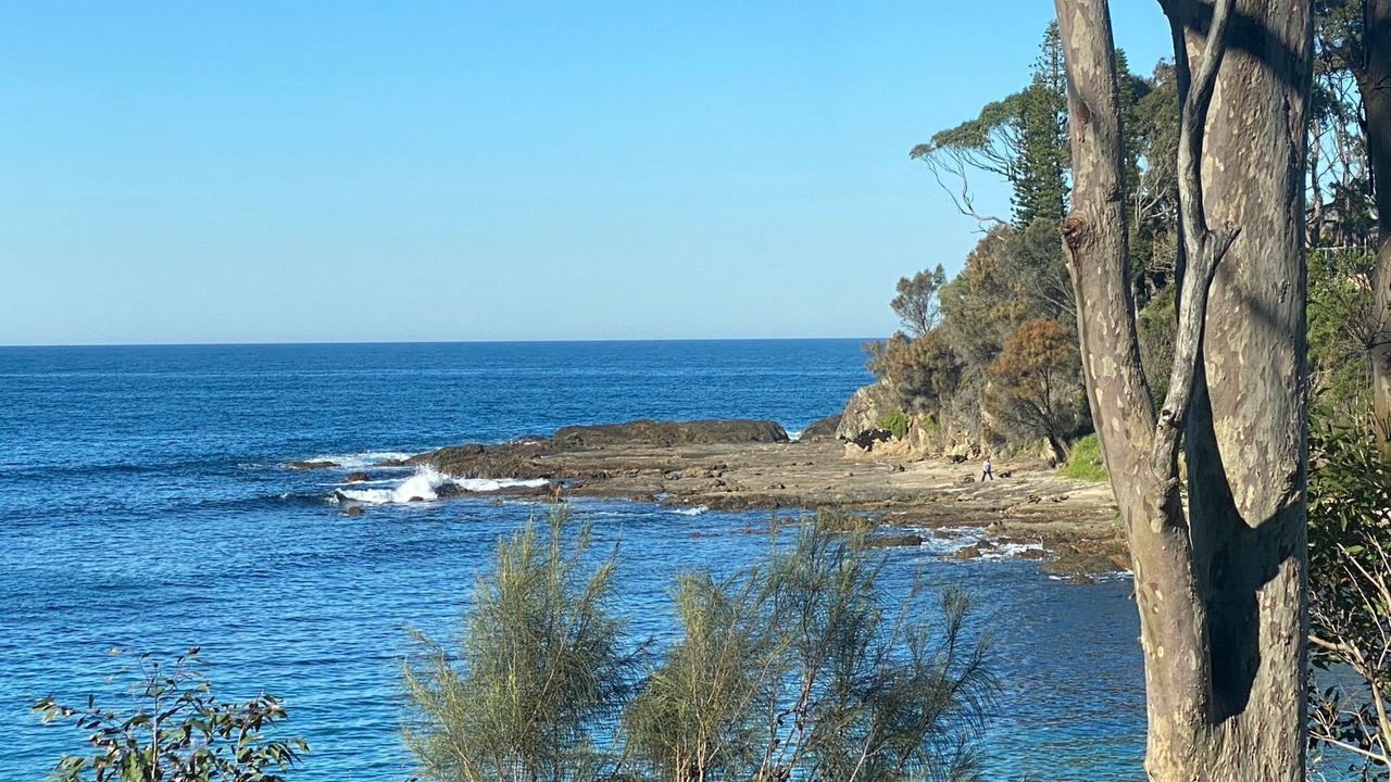 Photo of Outdoor in Lilli Pilli