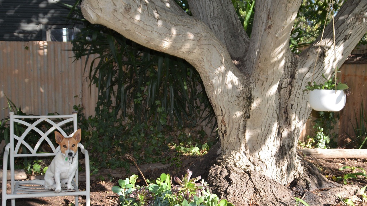Photo of Outdoor in Rutherglen