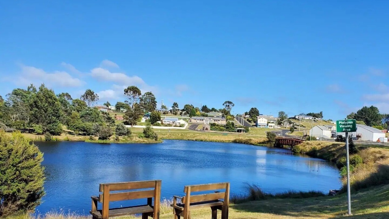 Photo of Others in Waratah