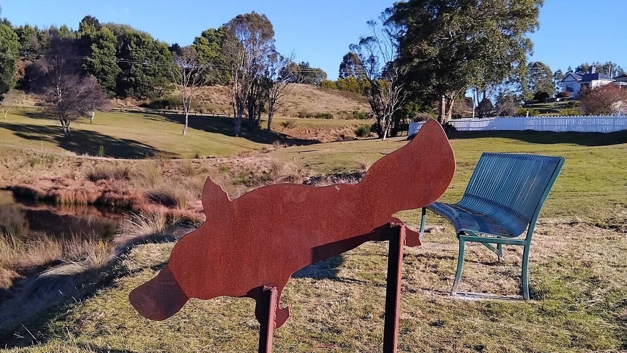 Photo of Outdoor in Waratah