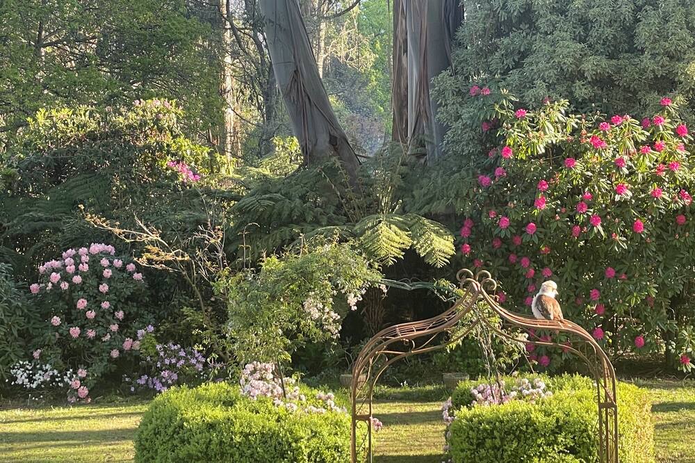 Photo of Outdoor in Mount Dandenong