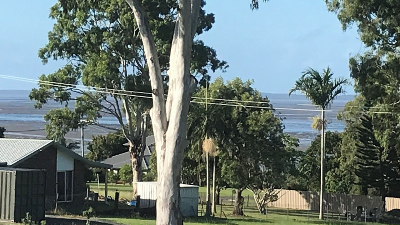 Photo of Others in River Heads