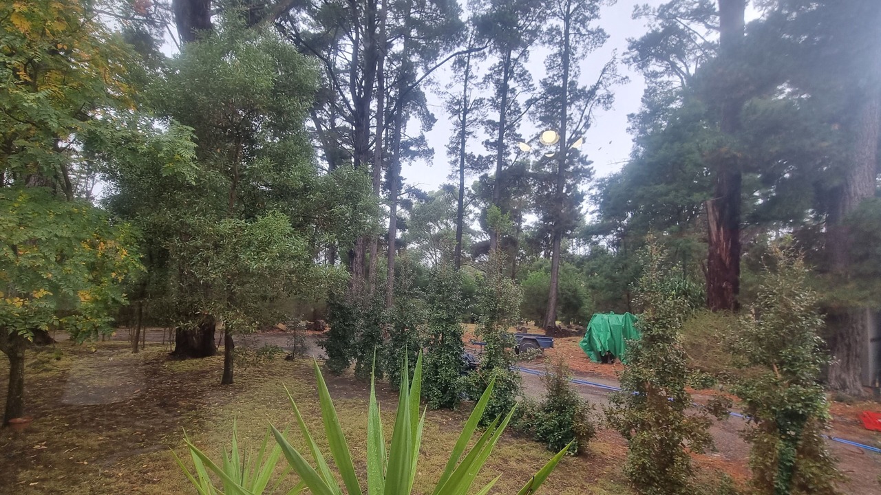 Photo of Outdoor in Chum Creek