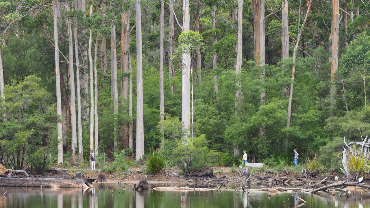 Photo of Others in Pemberton