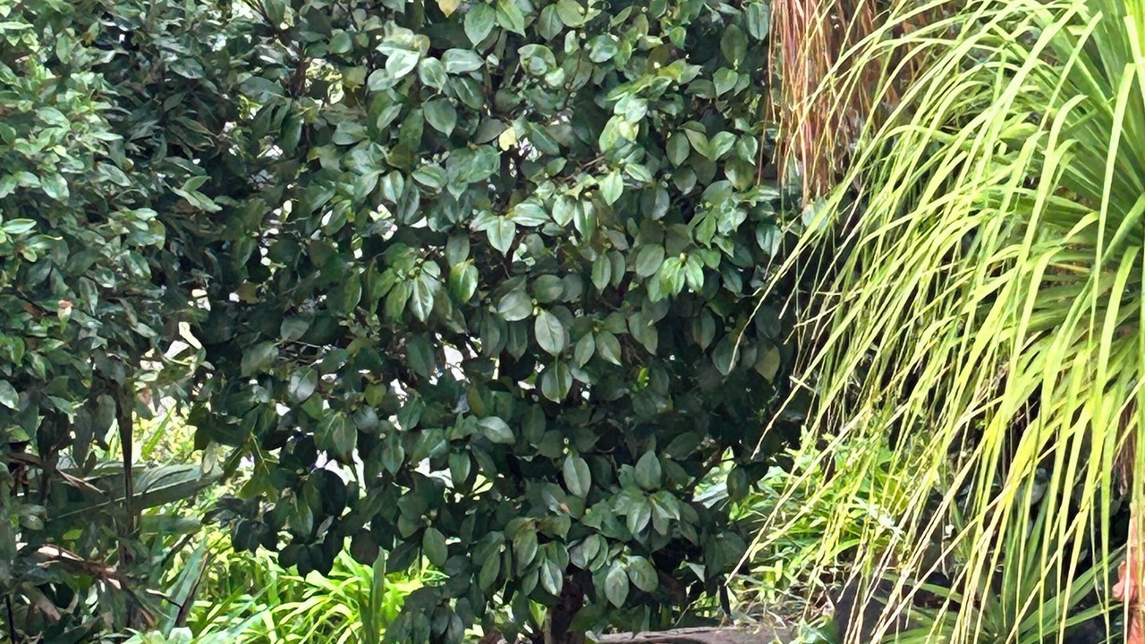 Photo of Outdoor in Darlington