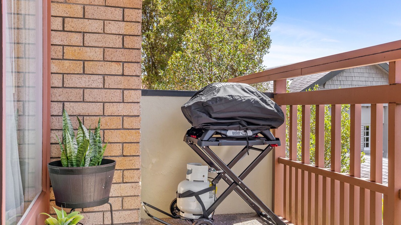 Photo of Outdoor in Double Bay