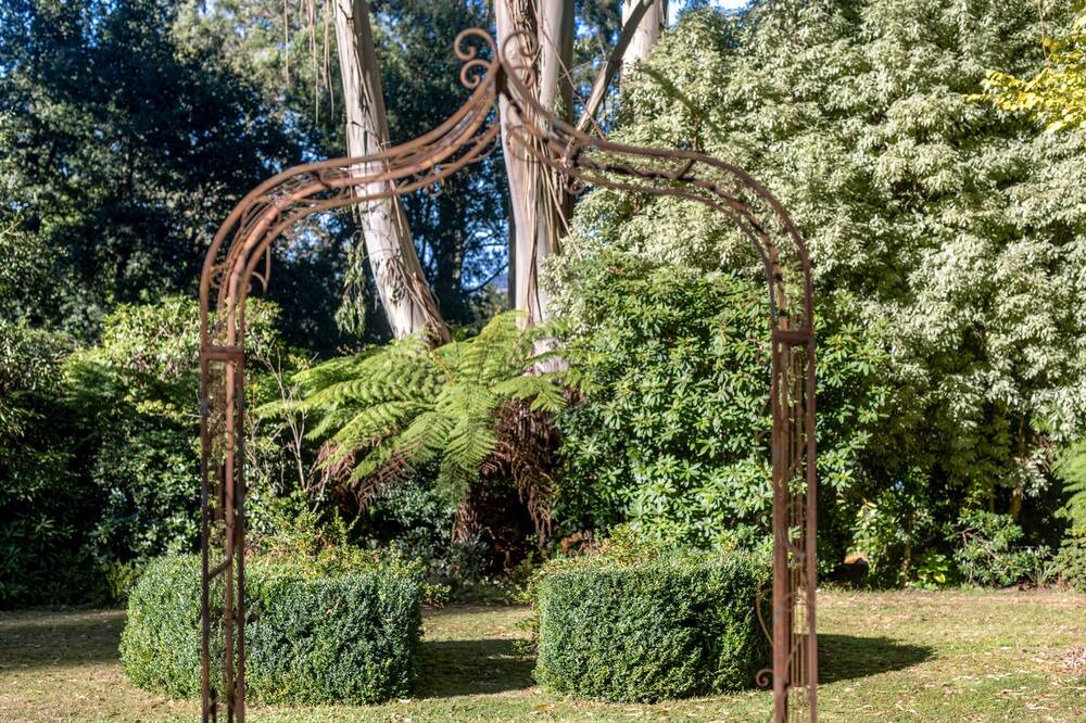 Photo of Outdoor in Mount Dandenong