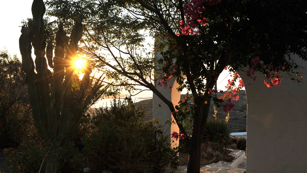 Photo of Outdoor in Paros
