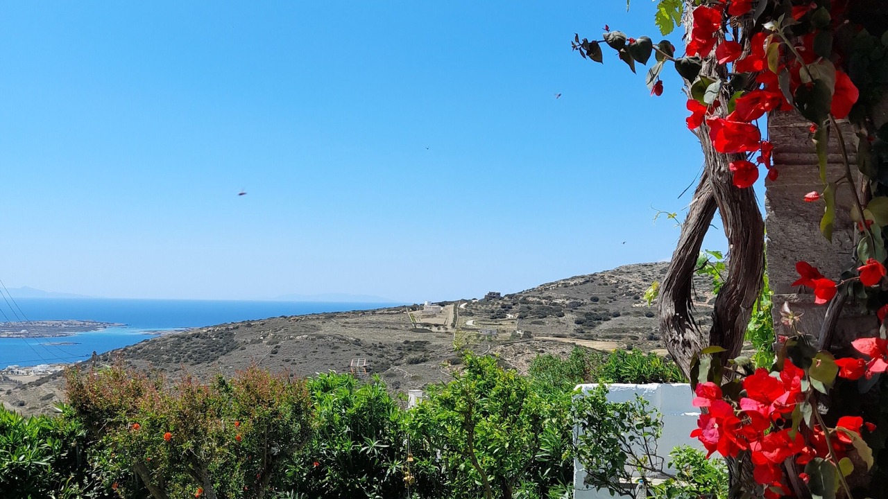 Photo of Outdoor in Paros