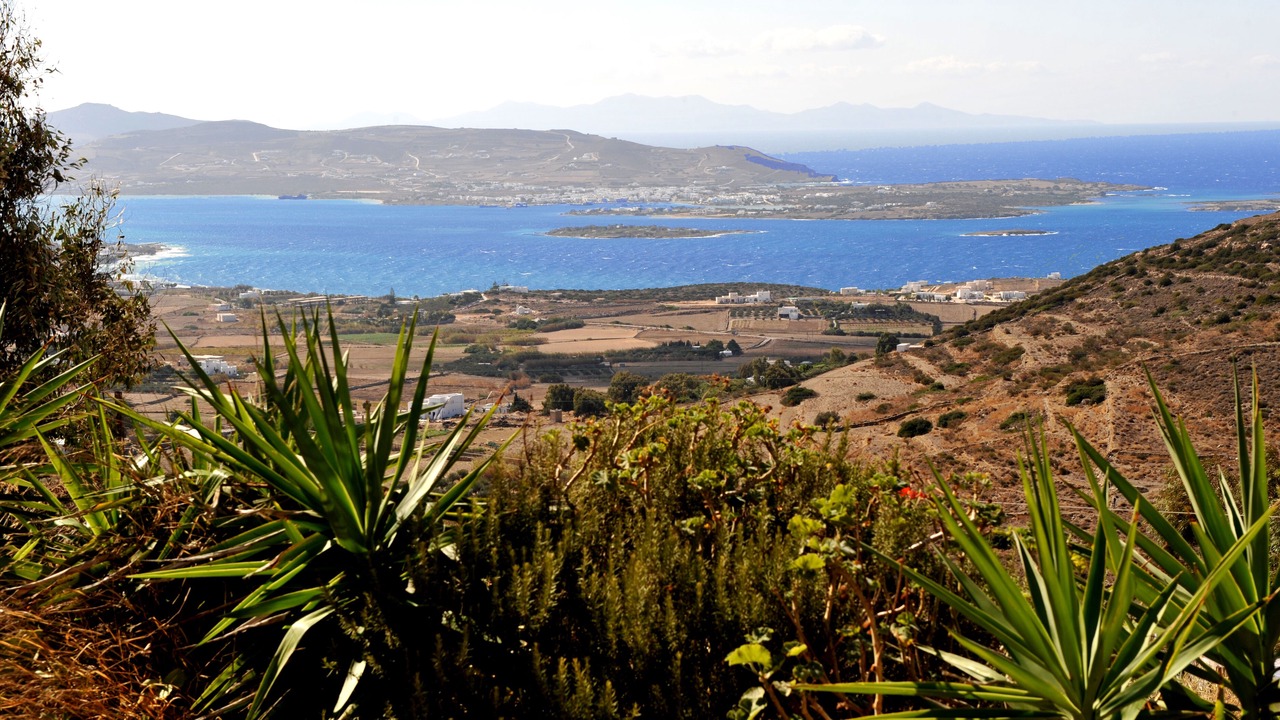 Photo of Others in Paros