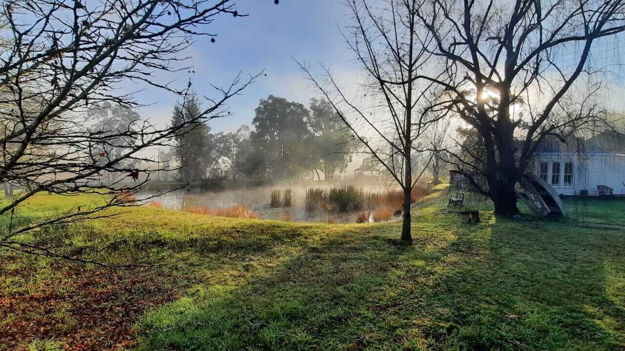 Photo of Others in Wollombi